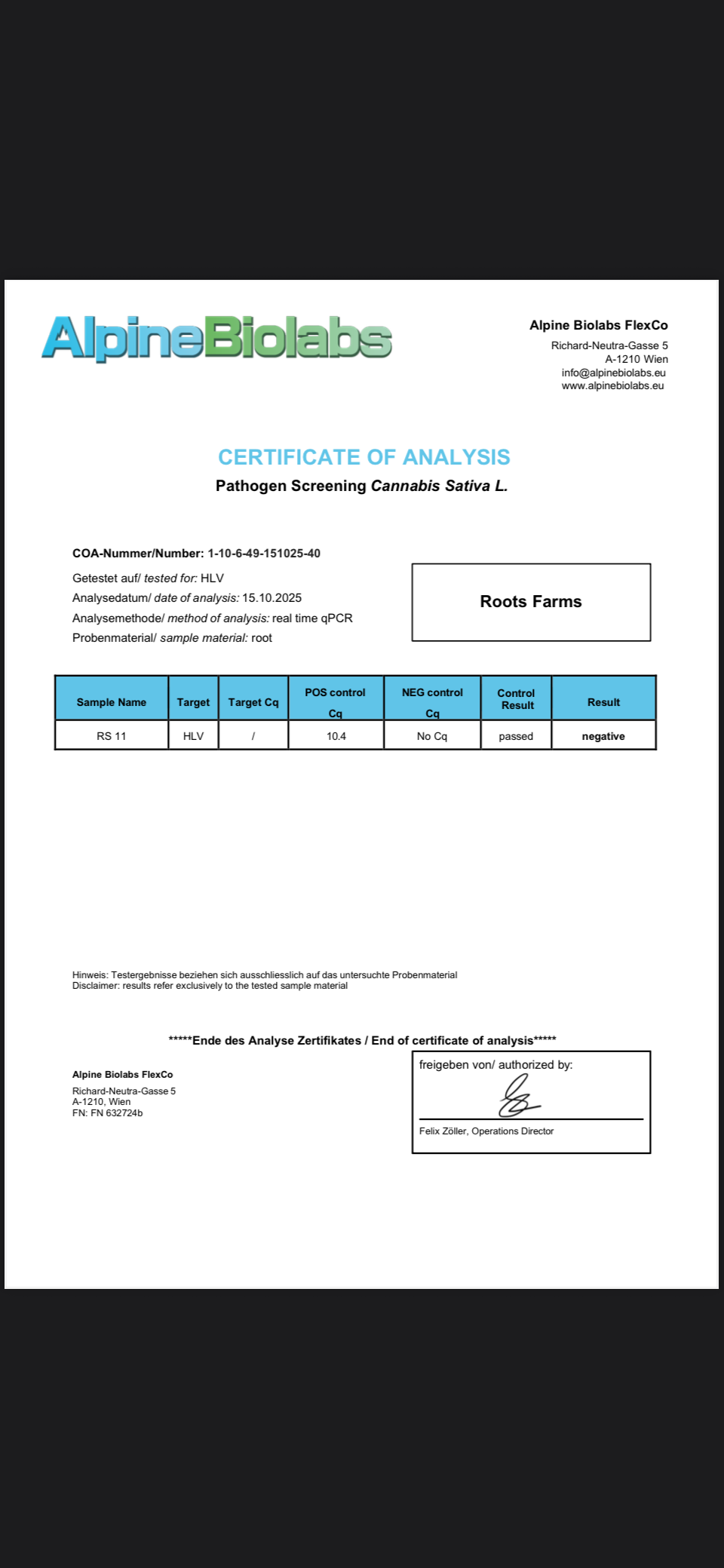 RS11 (Black Sherb x OZK "Pink Guava Cut")