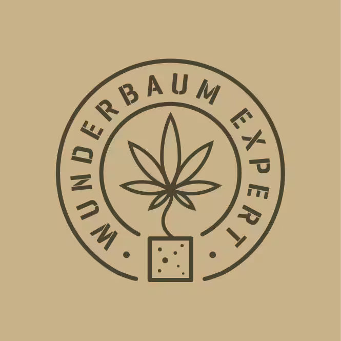 Wunder Cake (Amnesia × Wedding Cake) | Wunderbaum Expert