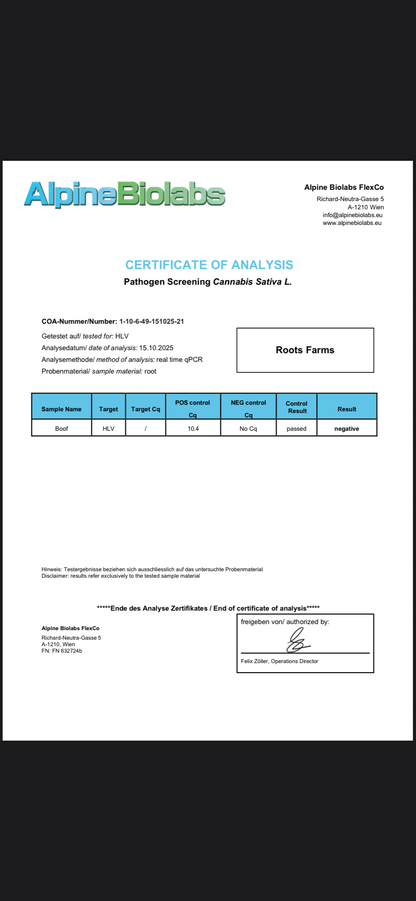 Superboof (Black Cherry Punch x Tropicanna Cookies)