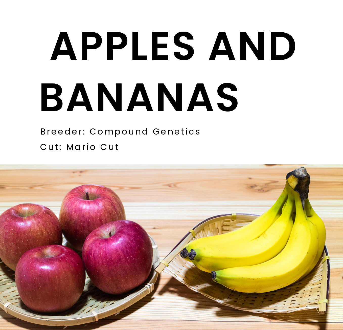 APPLES AND BANANAS [(Platinum Cookies x Granddaddy Purple) x Blue Power) x Gelatti] Mario Cut