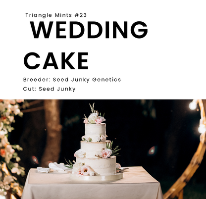 WEDDING CAKE (Triangle Kush x Animal Mints) Jbeezy Breeder Cut