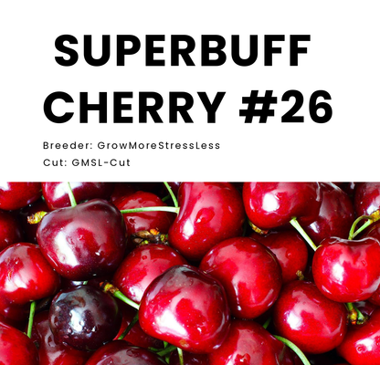 SUPERBUFF CHERRY #26 (SuperBoof x Tropicanna Cherry) GMSL Breeder Cut