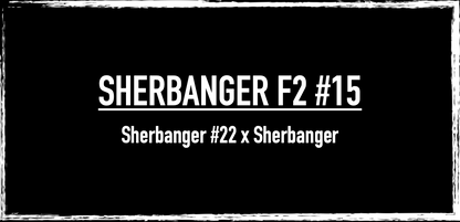 Sherbanger F2 #15