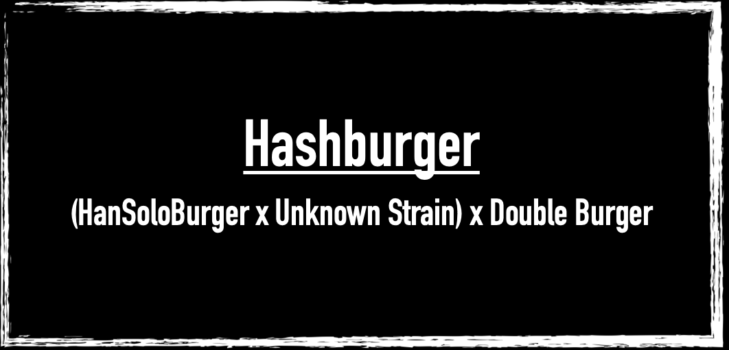 Hashburger [(Han Solo Burger x Black Triangle Kush) x Double Burger]