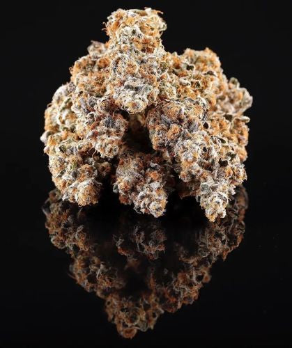 LA BOMBA (Wedding Cake x Jet Fuel Gelato)