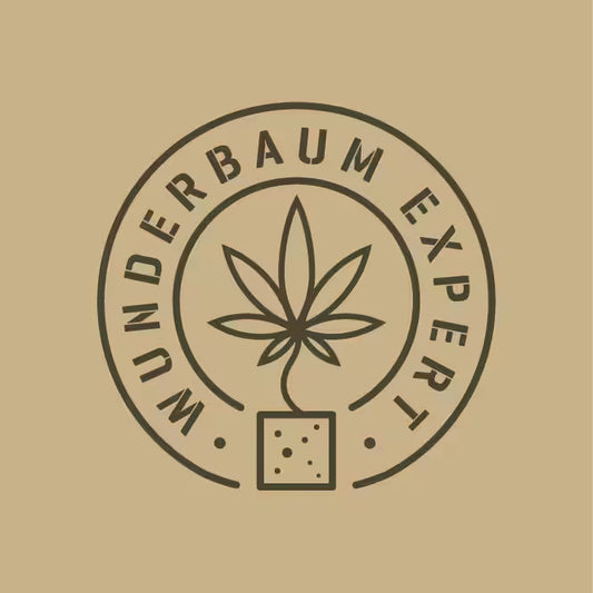 Wunder Cake (Amnesia × Wedding Cake) | Wunderbaum Expert